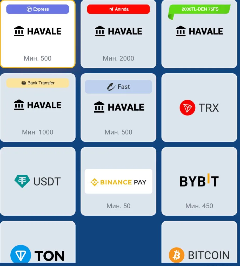 Плитки способов пополнения: банковские переводы, TRX, USDT, Binance Pay, Bybit, TON и Bitcoin